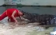 Người đàn ông suýt mất đầu vì làm xiếc với cá sấu